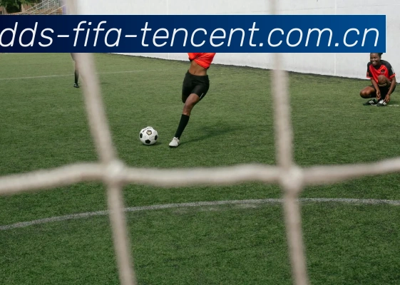 FIFA世界杯赔率 官方场馆
